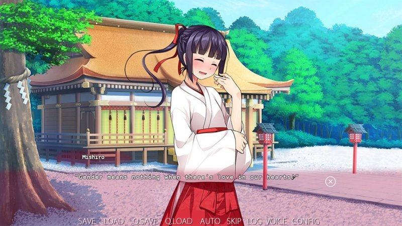 Primer plano de personaje ilustrado en una novela visual anime.